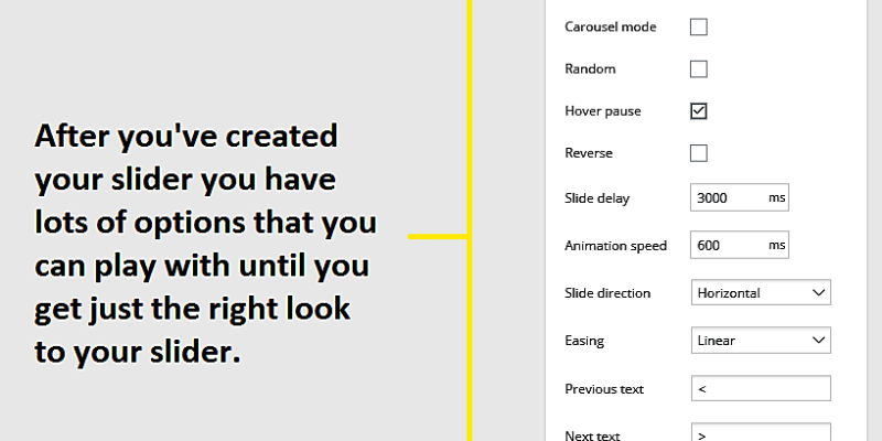Meta slider Advanced Options menu highlighted