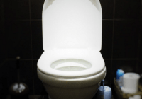 Mybusyretiredlife.com toilet replacement