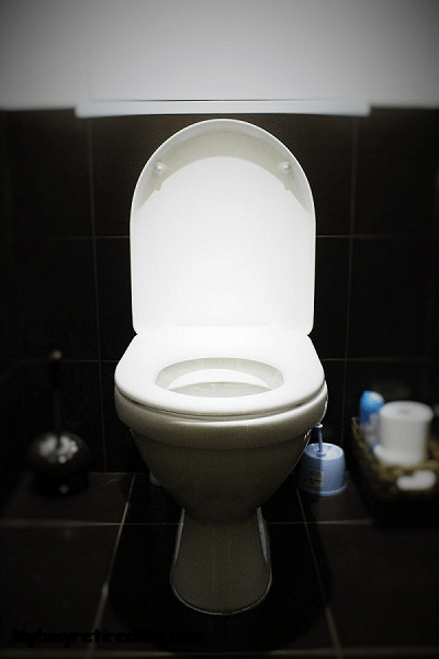 Mybusyretiredlife.com toilet replacement