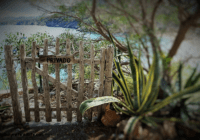 Self closing wood gate