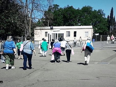 The Quilt Show Experience On the way home