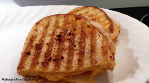 Chipotle Chicken and roasted veggies panini sandwich