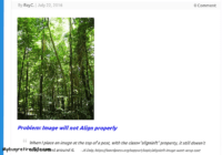 Image will not Align properly How it looks on the website