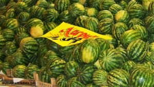 four how to life hacks Watermelon