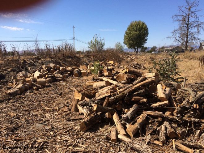 frugal living tips camping firewood-mixed