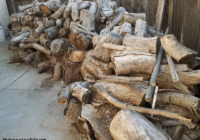 frugal living tips camping free-wood-definitely dry