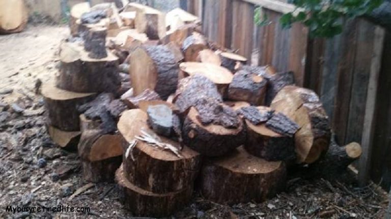 frugal living tips camping free-wood-large-rounds from Craigslist