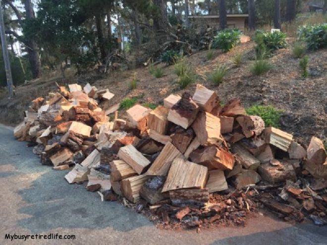 frugal living tips camping firewood-mostly-split-large