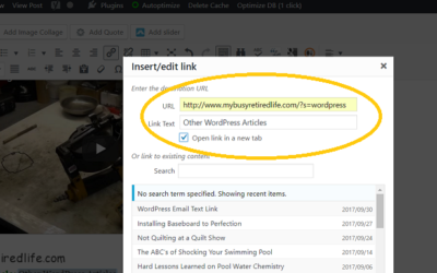Insert edit link window filled out