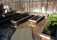 Garden Boxes placed in the garden area