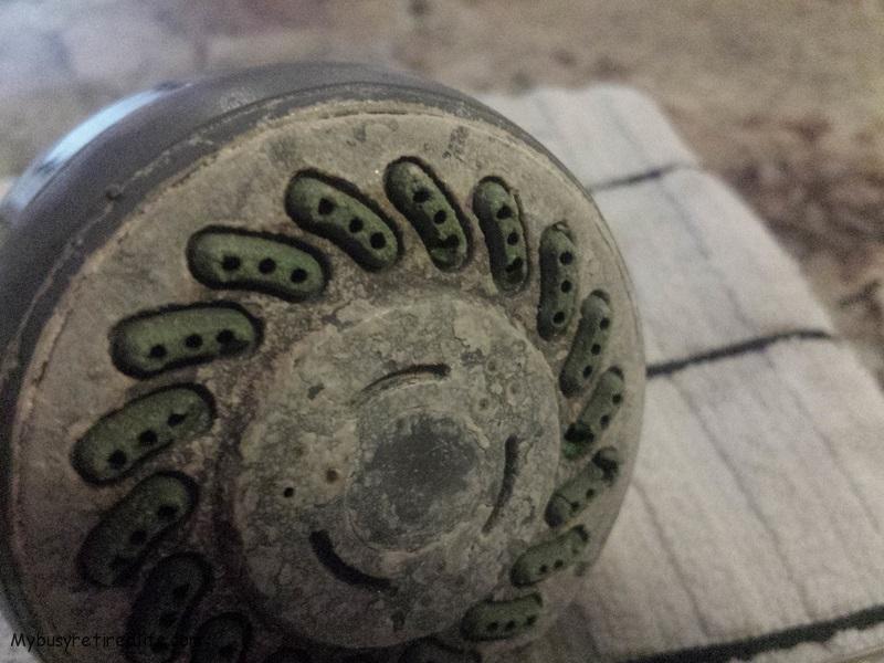 Shower head needing cleaning