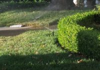 six inch rise sprinkler clears tall grass